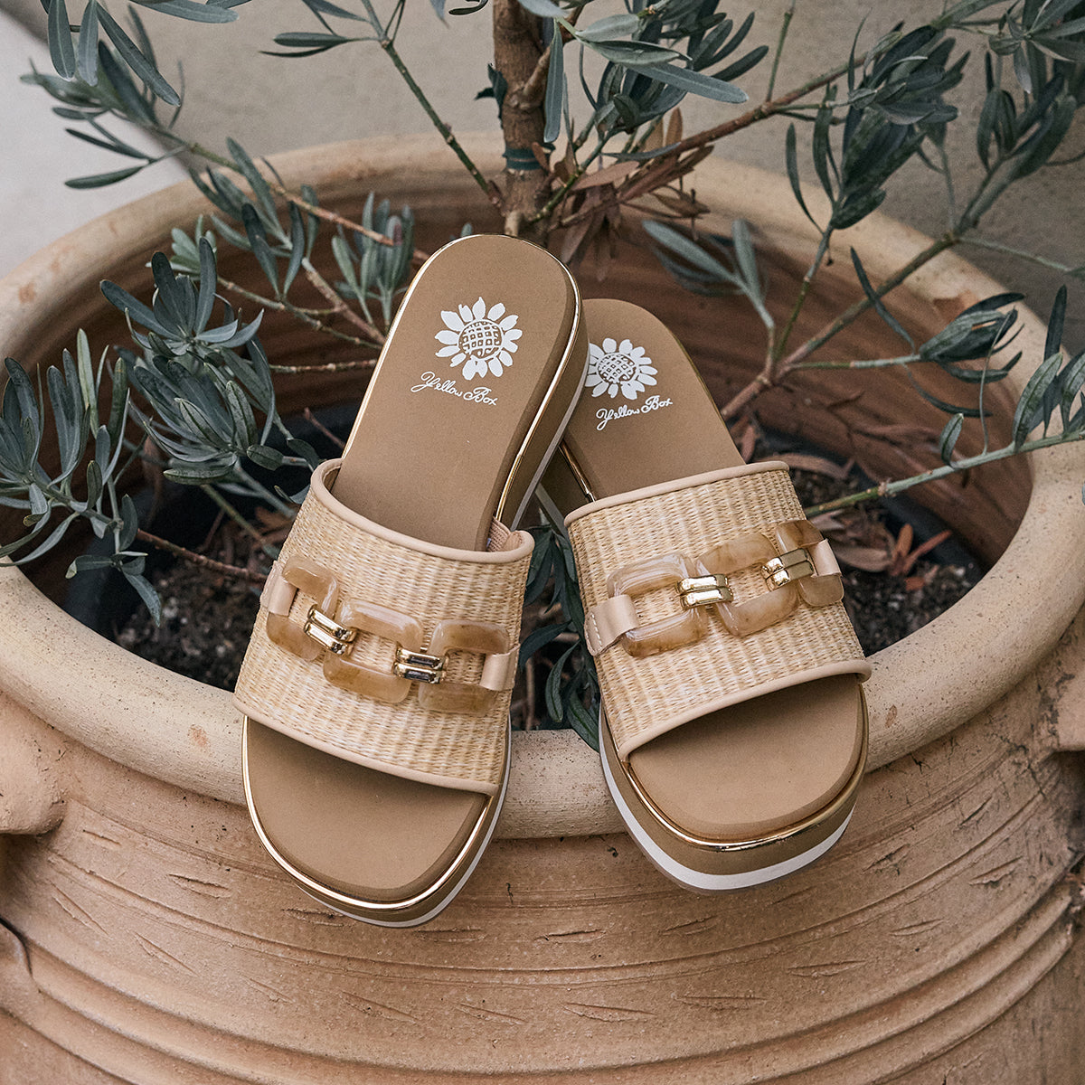 Yellow Box Footwear Gabina Wedge Sandal - Natural