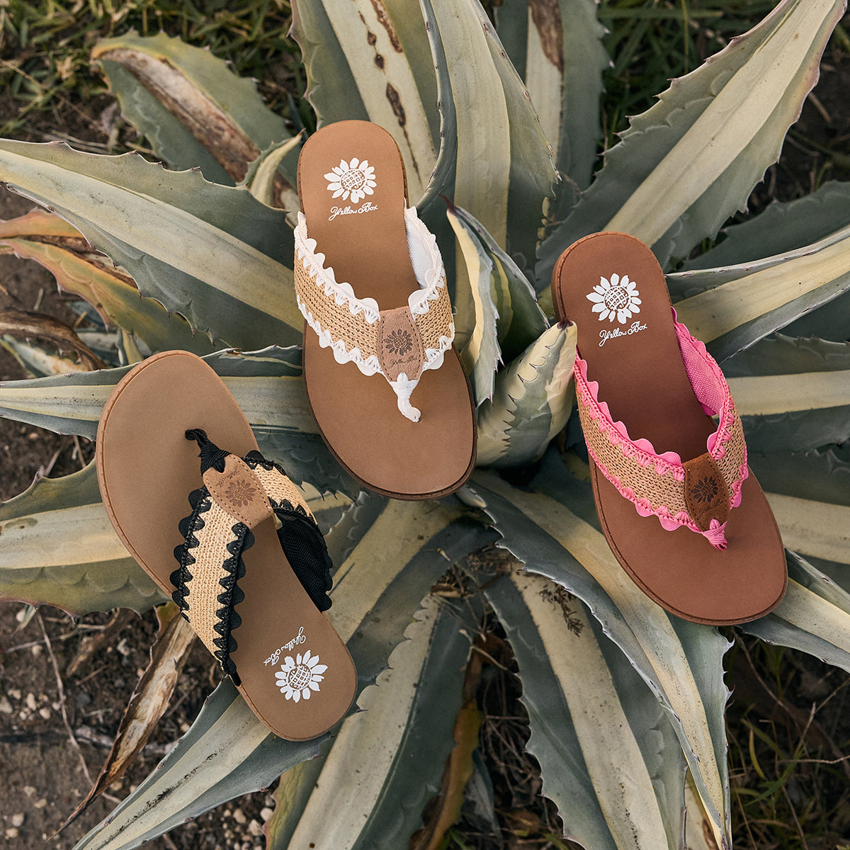 Yellow Box Footwear Irina Raffia sandal - Black Natural