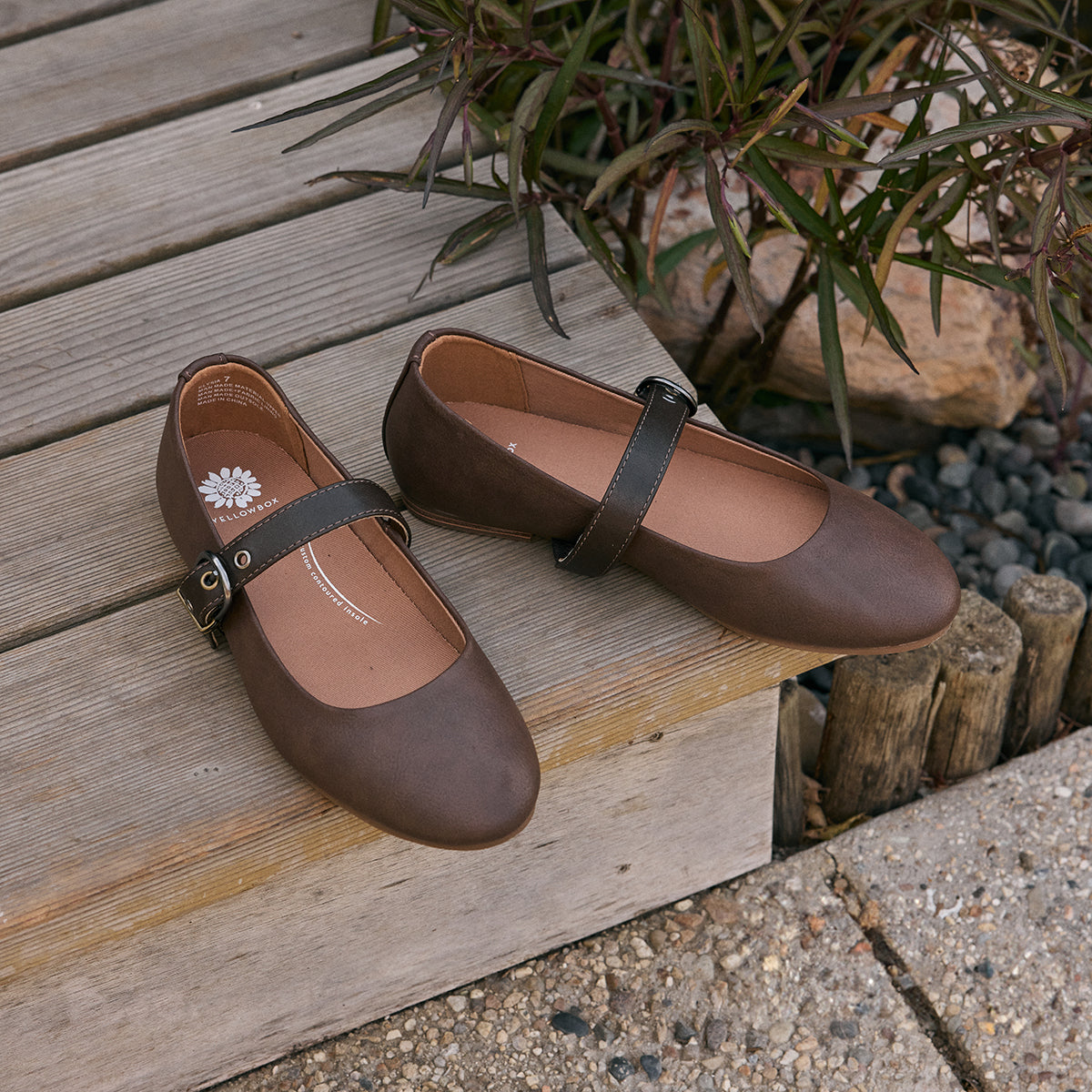 Yellow Box Footwear Elysia Mary-Jane Ballet Flat - Chocolate