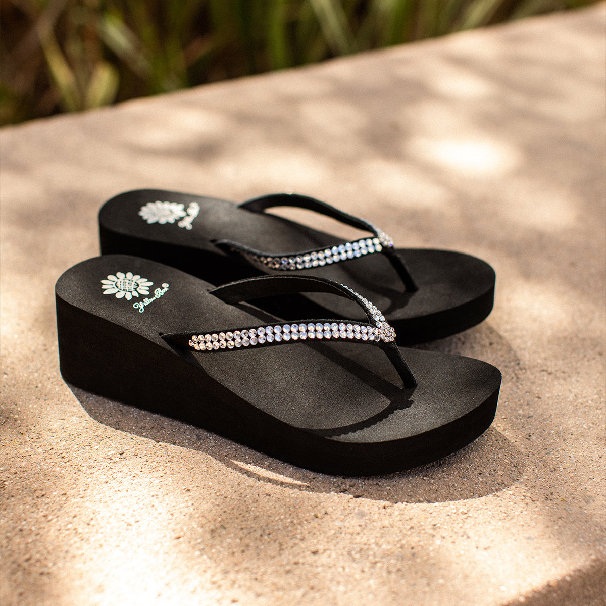 Yellow Box Footwear Custard Wedge Sandal - Black