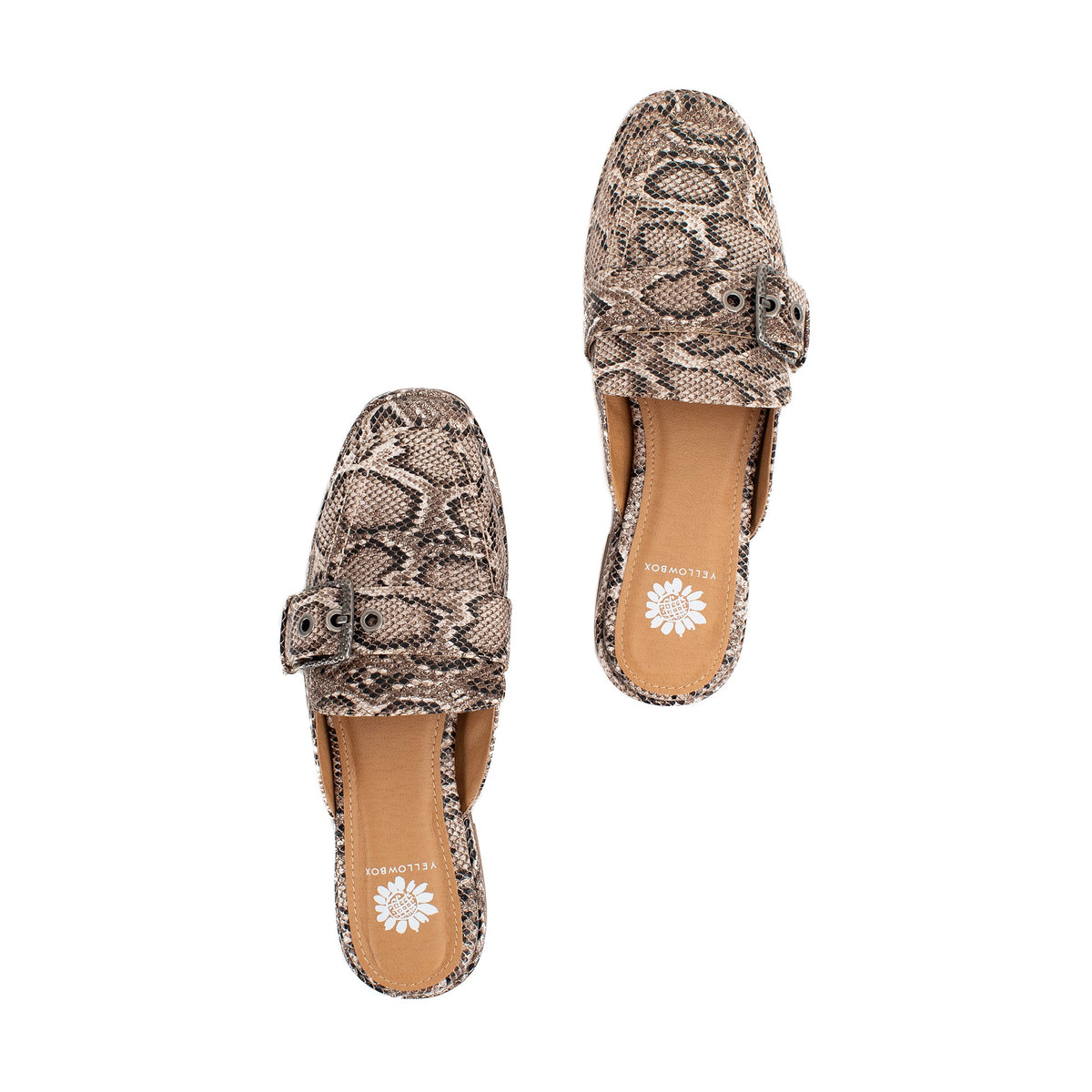 Yellow Box Footwear Jardeen Loafer Mule - Snake