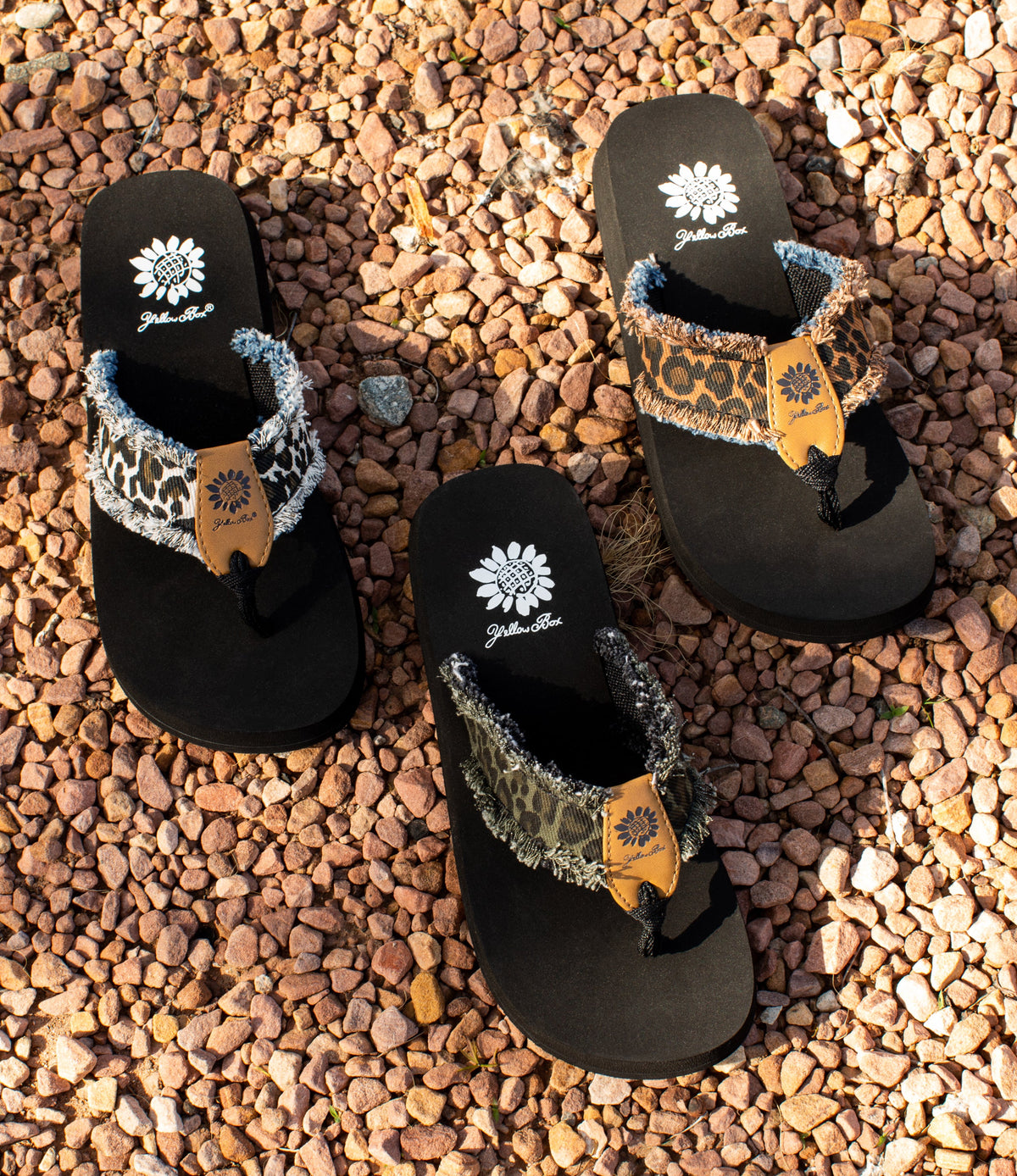 Yellow Box Footwear Fayth Flip Flop - Olive