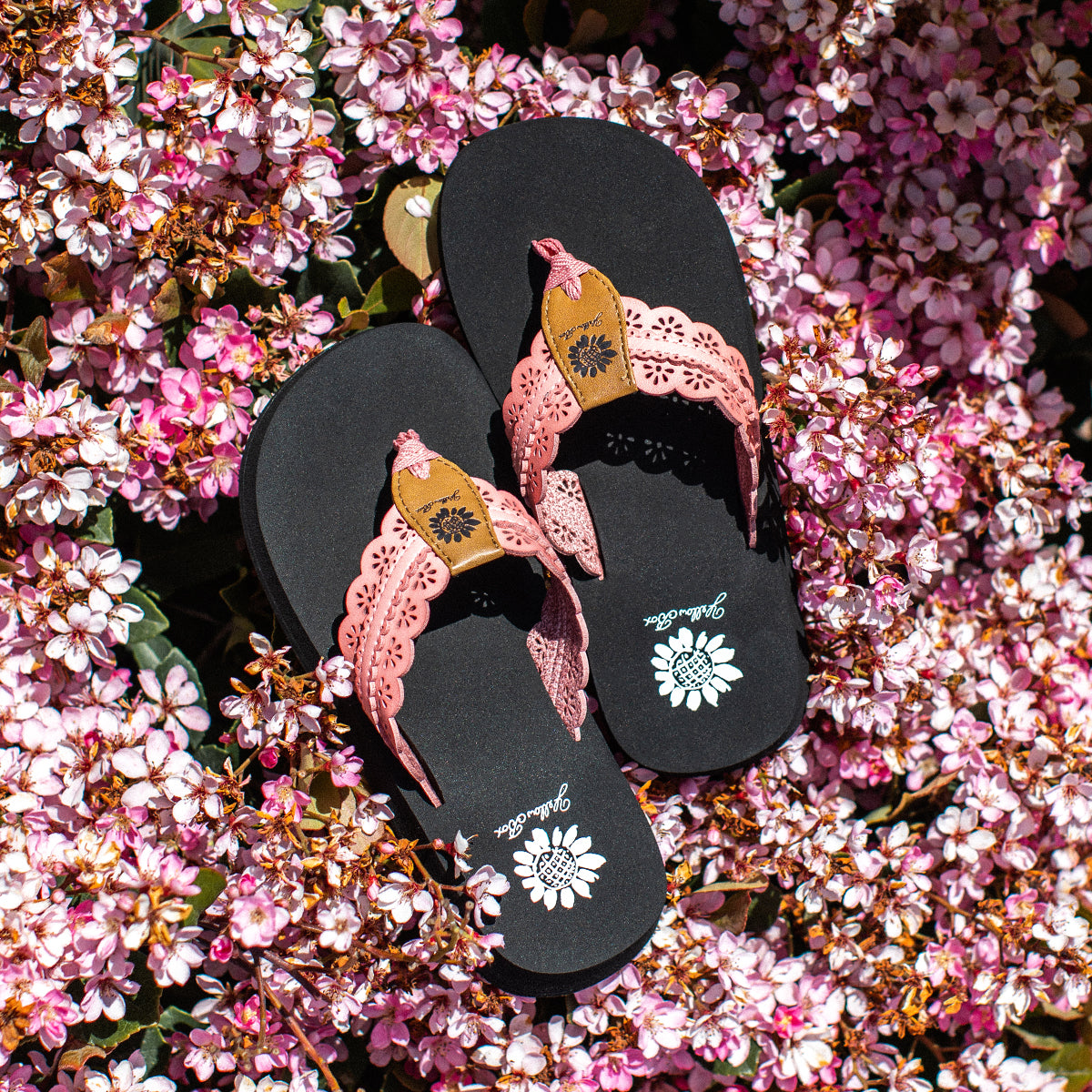 Yellow Box Footwear Fascell Flip Flop - Blush